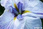 GGP_Arboretum_030614_0048