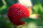 GGP_Arboretum_030614_0055