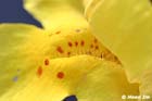 GGP_Arboretum_030614_0064