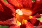 GGP_Arboretum_030614_0073