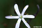 GGP_Arboretum_030614_0099