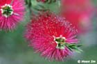 GGP_Arboretum_030614_0118