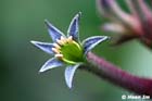 GGP_Arboretum_030614_0121