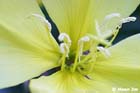 GGP_Arboretum_030614_0132