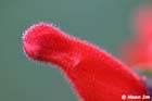 GGP_Arboretum_030614_0138