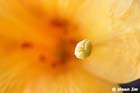 GGP_Arboretum_030614_0151
